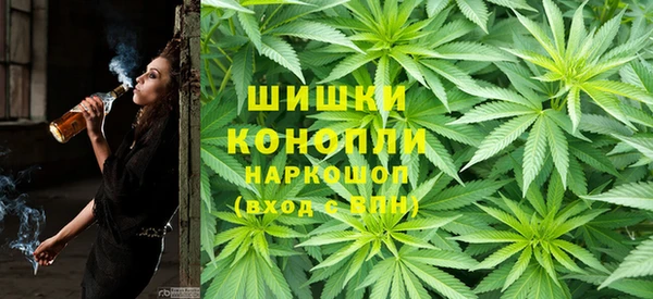 ГАЛЛЮЦИНОГЕННЫЕ ГРИБЫ Алексин