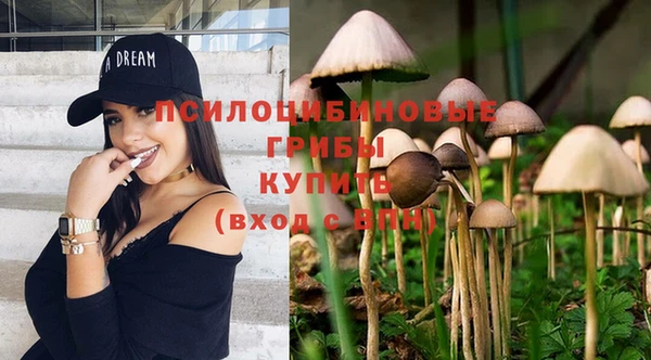 spice Приозерск