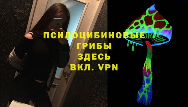 соль ск Алексеевка